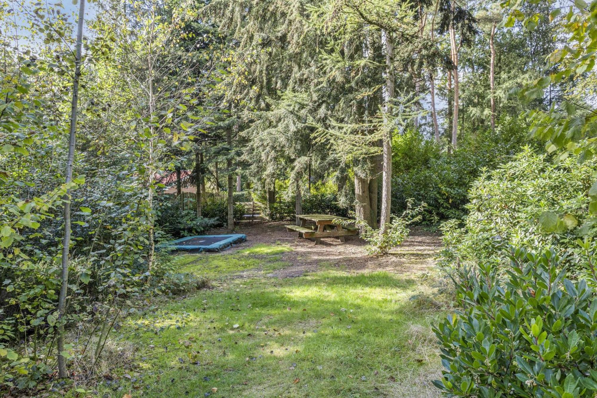 Relaxen In Het Bos Met Privesauna Holten Buitenkant foto