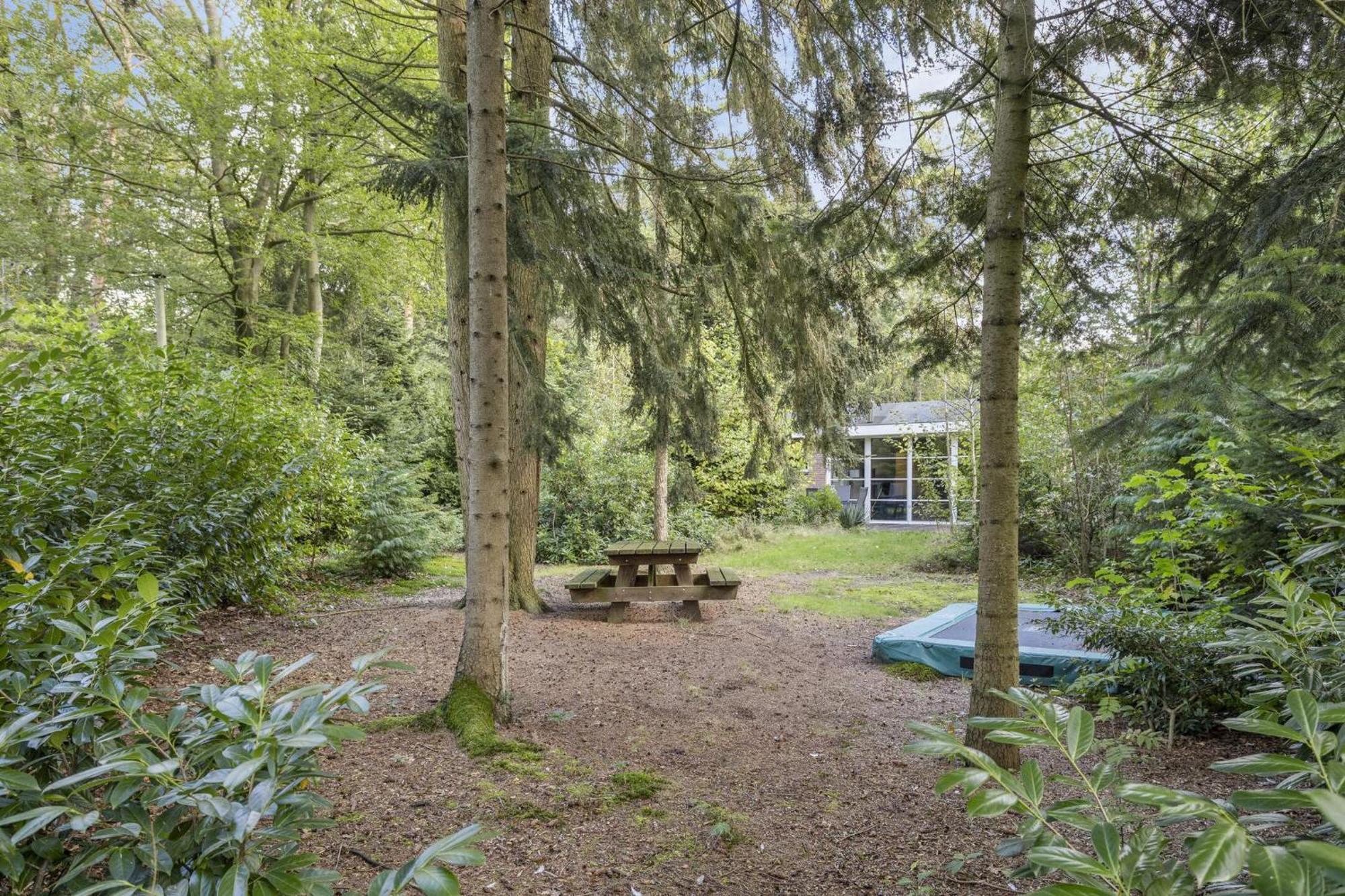 Relaxen In Het Bos Met Privesauna Holten Buitenkant foto